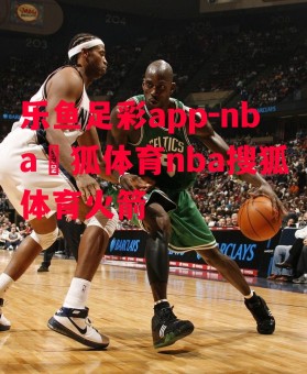 乐鱼足彩app-nba獀狐体育nba搜狐体育火箭