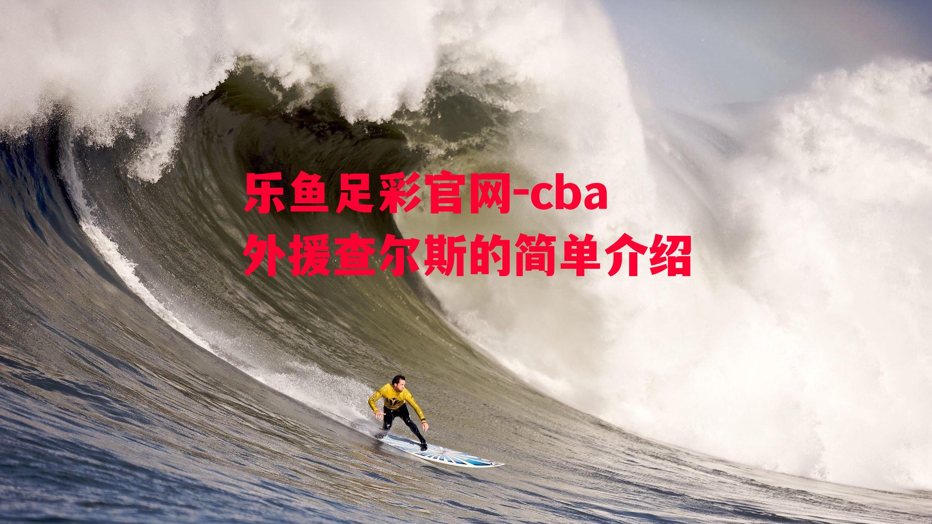 cba外援查尔斯的简单介绍